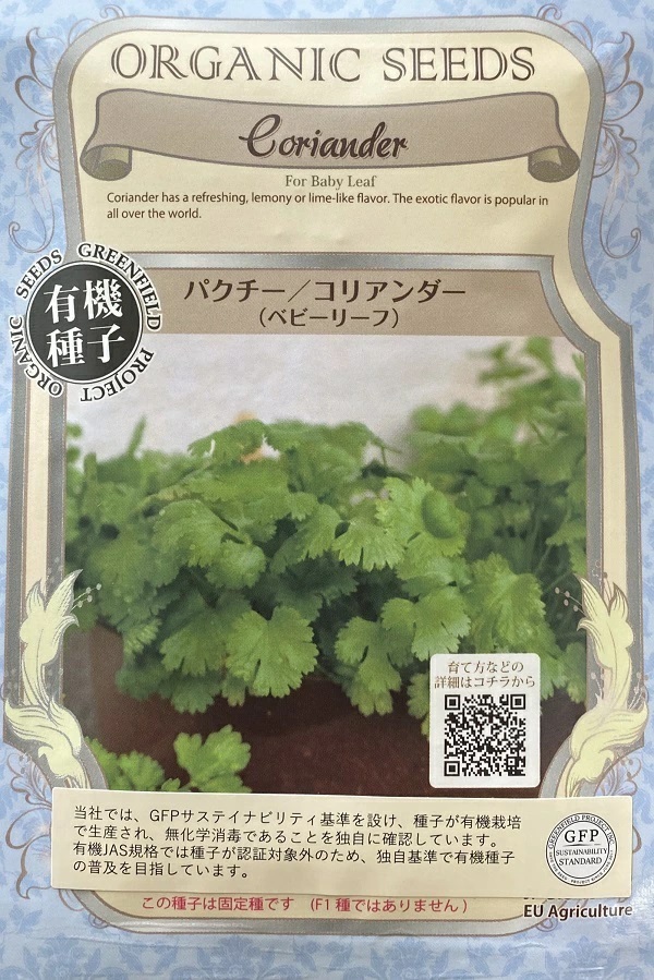 パクチー/コリアンダー(ベビーリーフ)