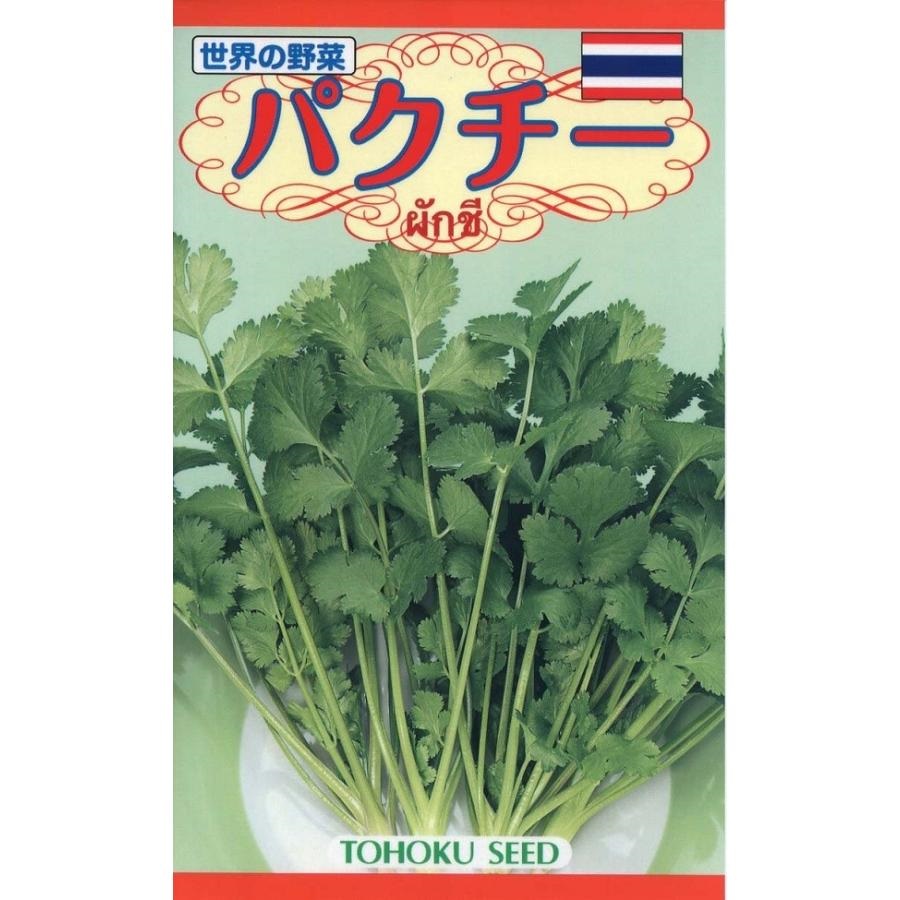 トーホクパクチー