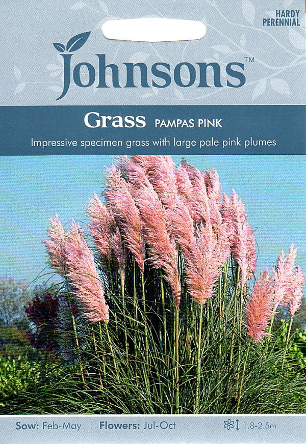 パンパス・グラス・ピンク