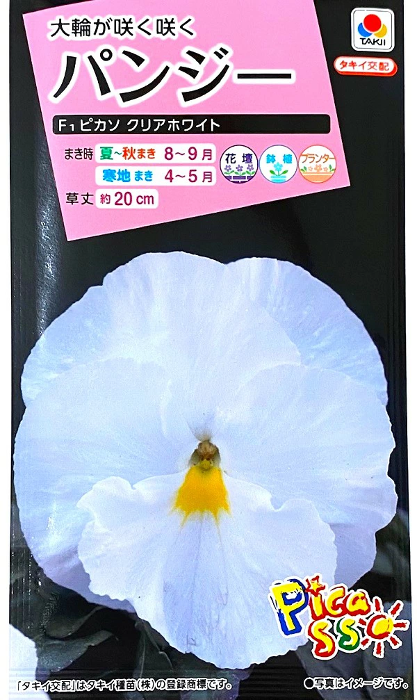 パンジーピカソクリアホワイト