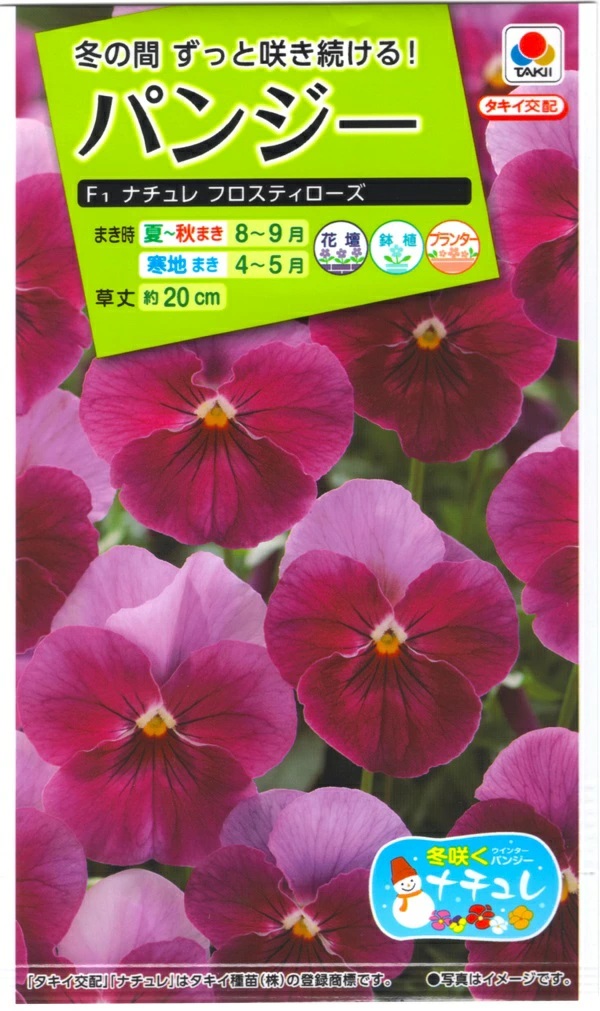 パンジー フロスティローズ