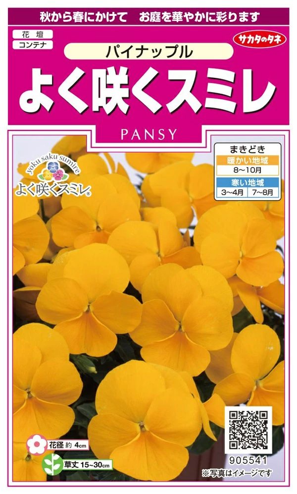 よく咲くスミレパイナップル