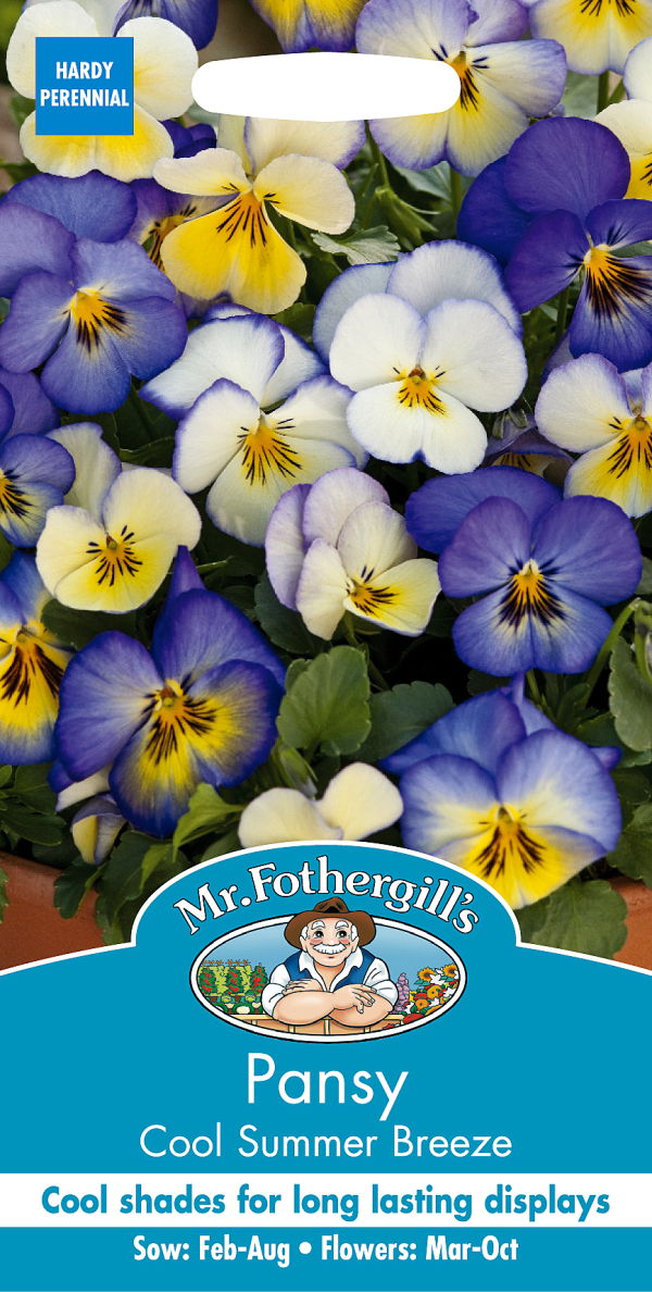 パンジー・クール・サマー・ブリーズ