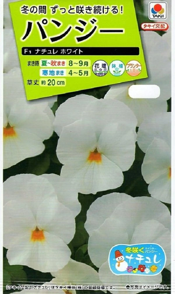 パンジーナチュレホワイト