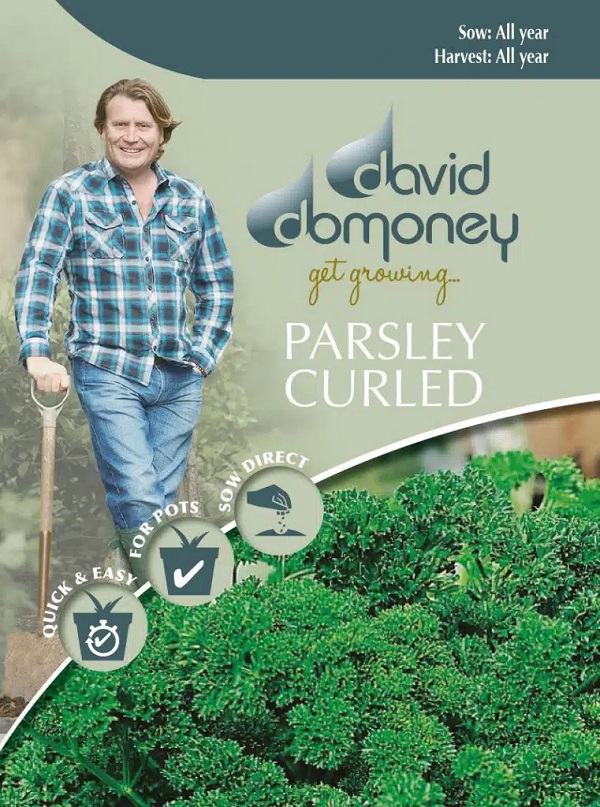 パセリ・モス・カールド2