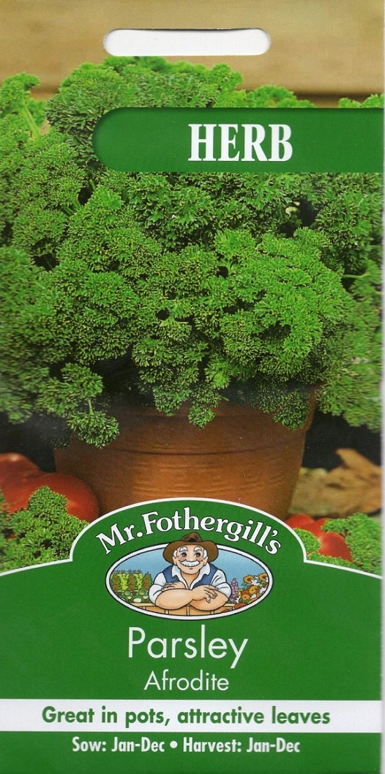 HERB Parsley Aphrodite ハーブ パセリ・アフロディーテ
