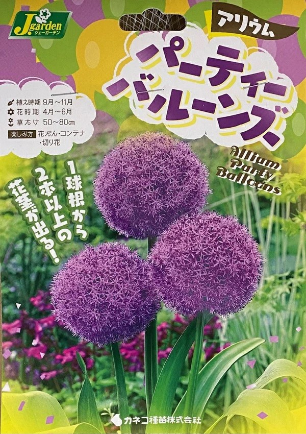 アリウム パーティーバルーンズ