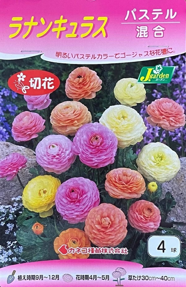 ラナンキュラス　パステル混合