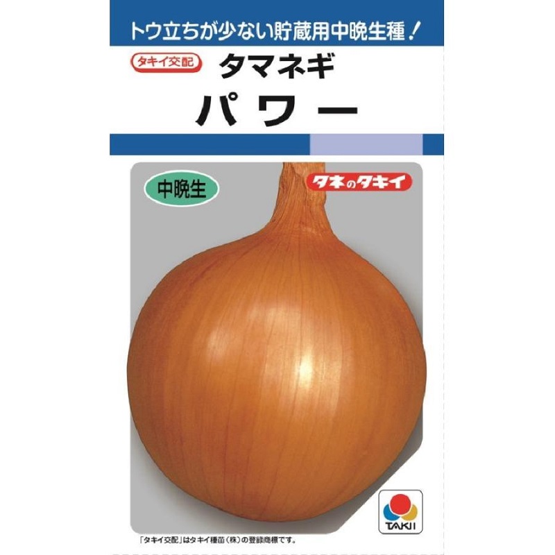 タマネギ　パワー