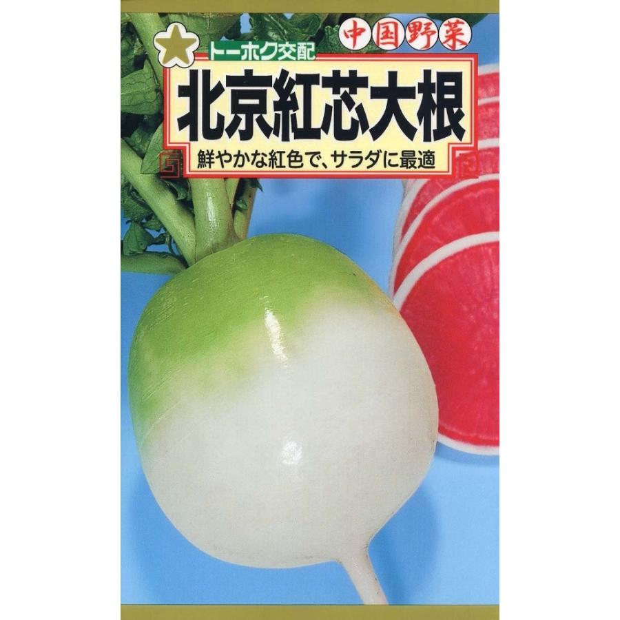 北京紅芯大根