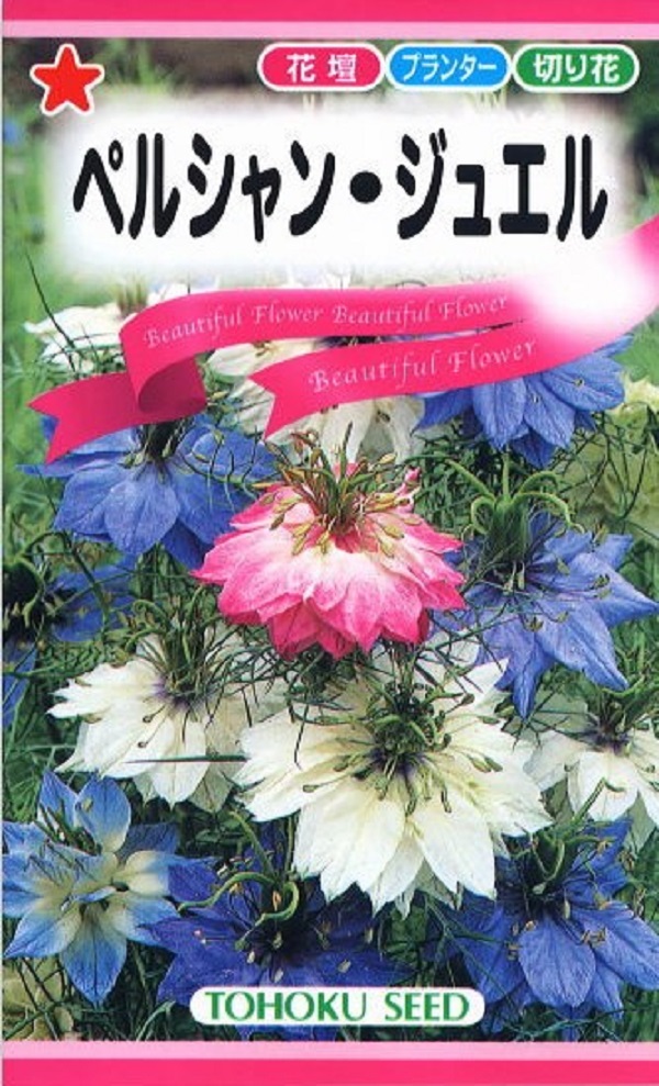 ニゲラ　ペルシャンジュエル