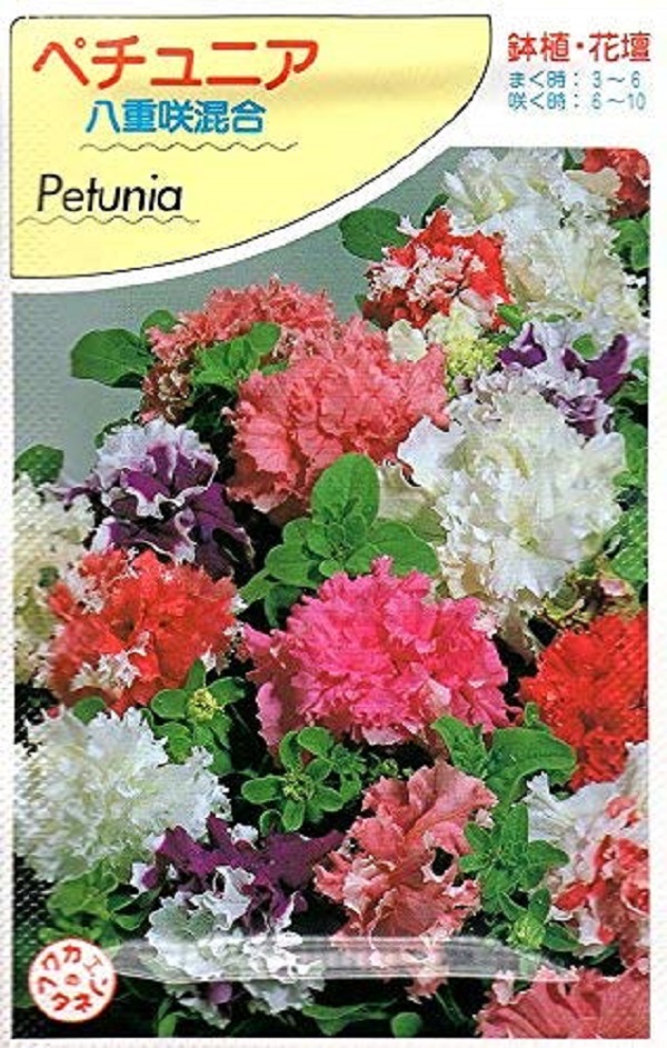 ペチュニア 八重咲混合