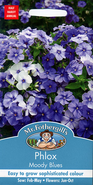 フロックス・ムーディー・ブルー