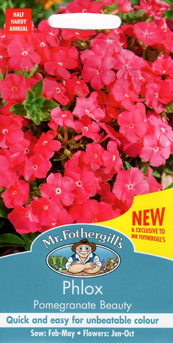 フロックス・ポメグラネイト・ビューティ