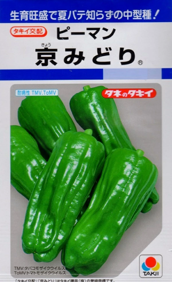 ピーマン京みどり