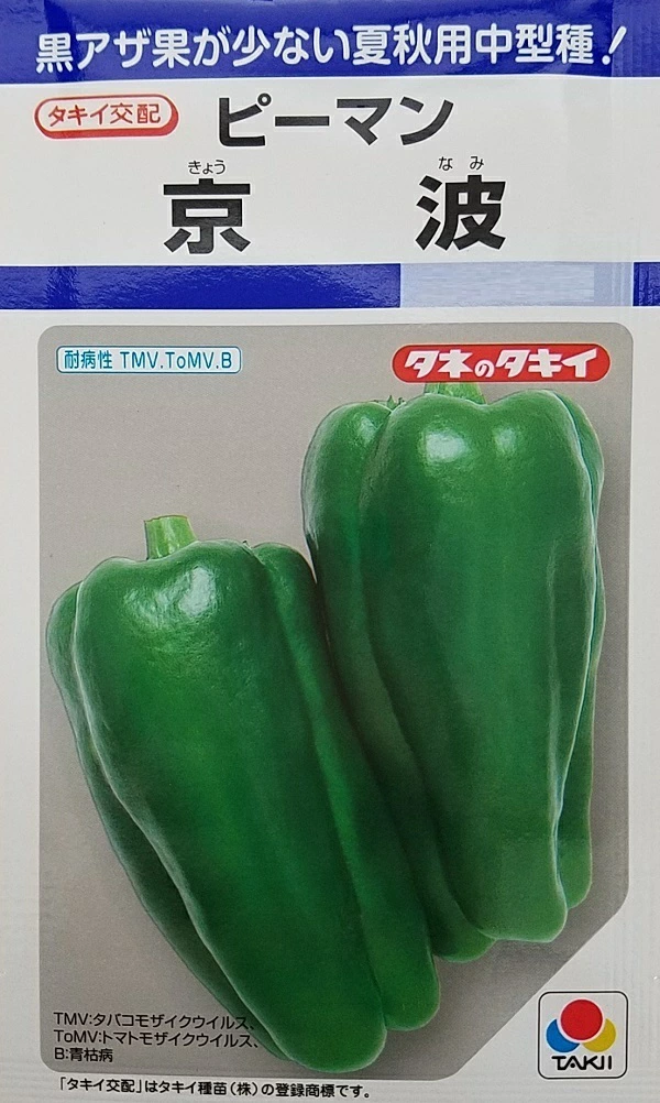 ピーマン京波
