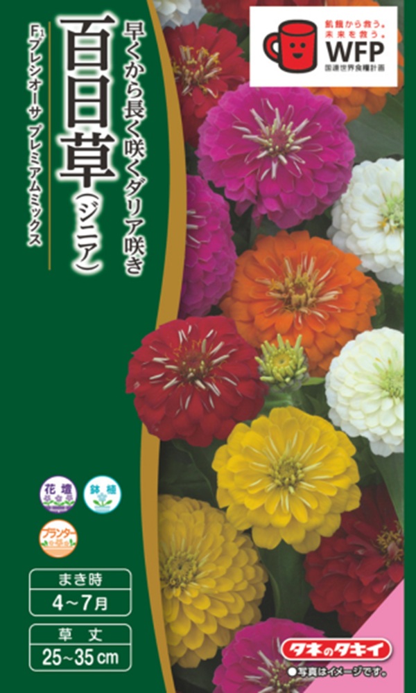 百日草　プレシオーサプレミアムミックス