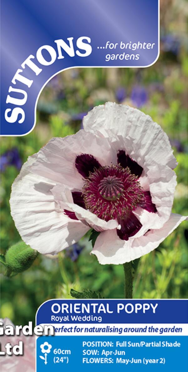 花種子 Suttons Seeds Oriental Poppy 'Royal Wedding' オリエンタル