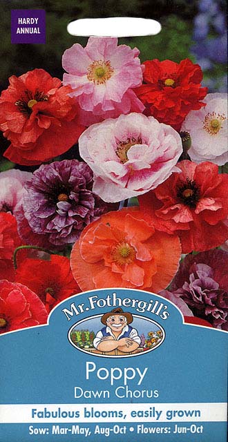 ポピー・ダウン・コーラス