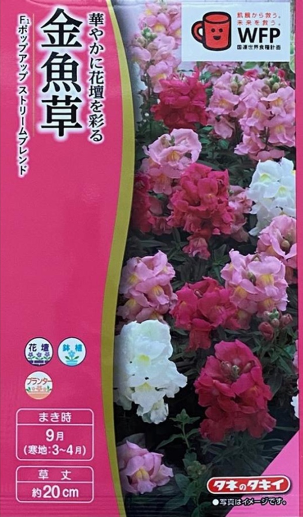 金魚草 ポップアップストリームブレンド