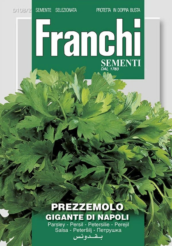 イタリアンパセリー