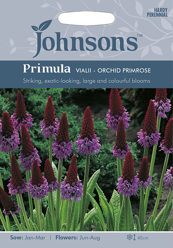 プリムラ・ビアリ