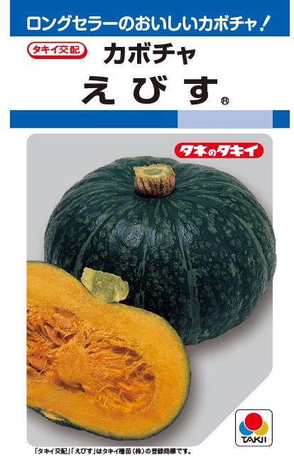 カボチャ　えびす