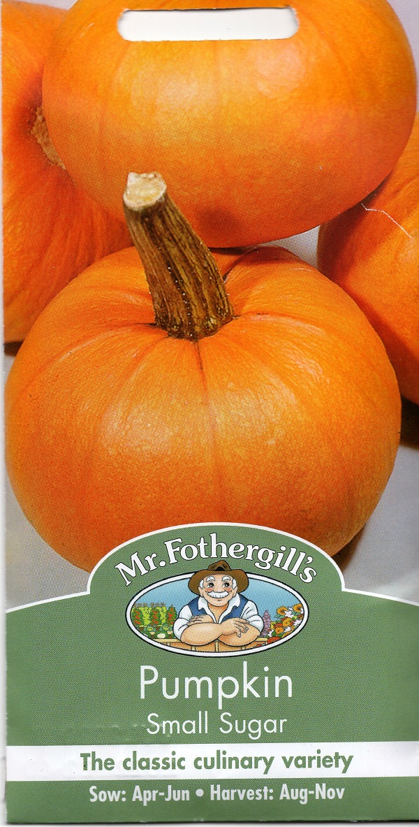 輸入種子】 Mr.Fothergill's Seeds Pumpkin Small Sugar パンプキン