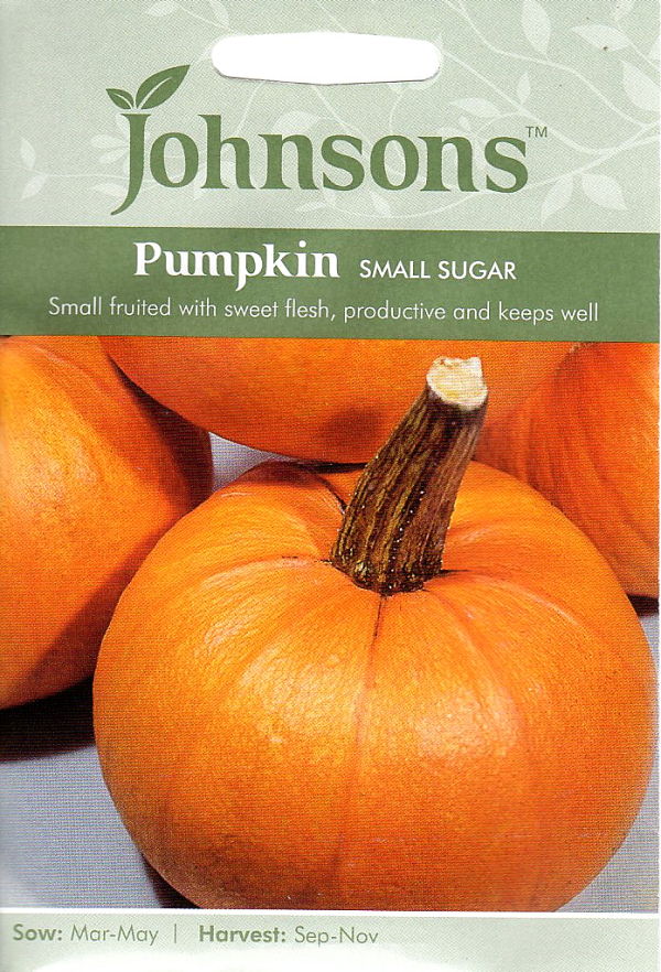 パンプキン・スモール・シュガー