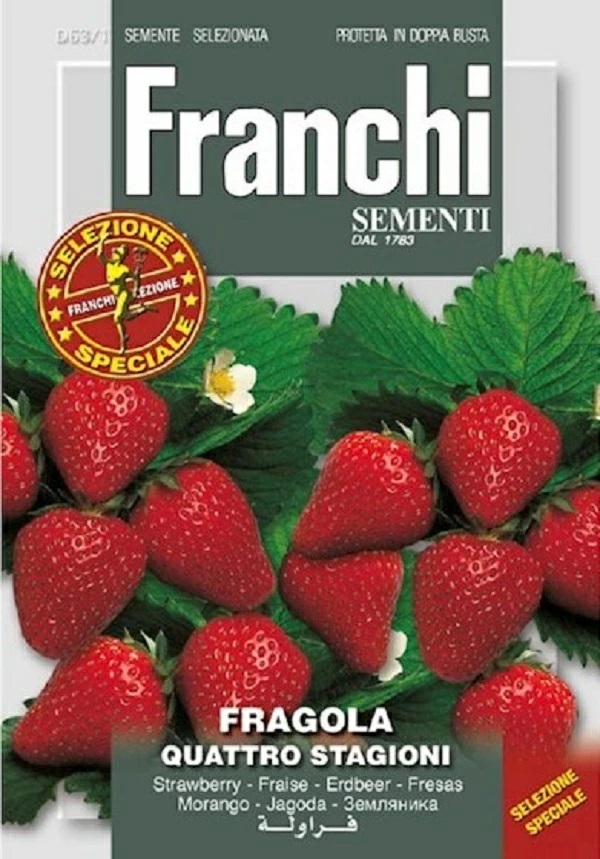 種子】 FRANCHI SEMENTI FRAGOLA QUATTRO STAGIONI 四季なりイチゴ
