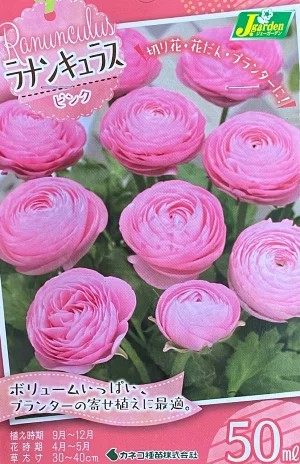 ラナンキュラスピンク