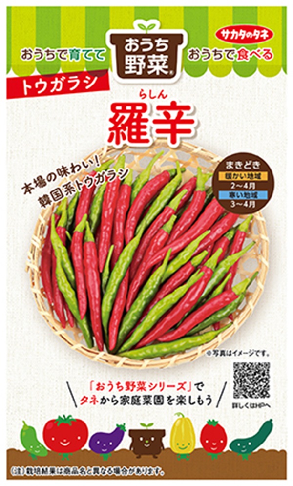 羅辛