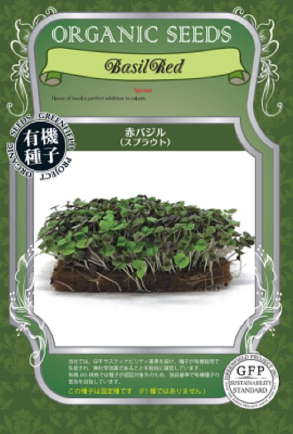 赤バジル（スプラウト）