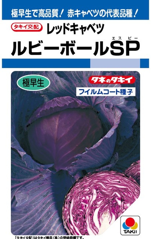 レッドキャベツルビーボールSP