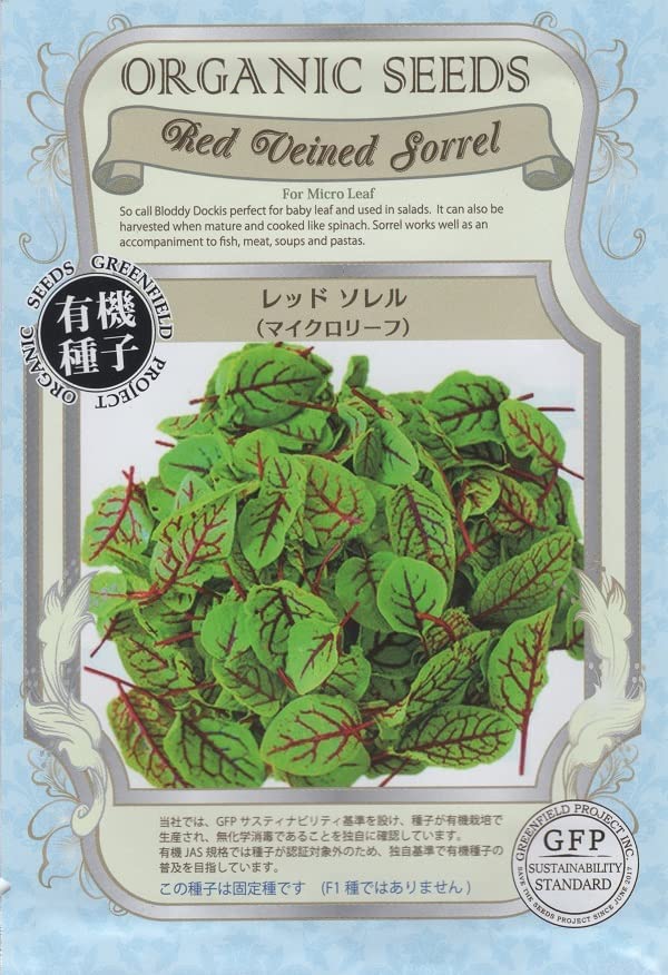 レッドソレル(マイクロリーフ)