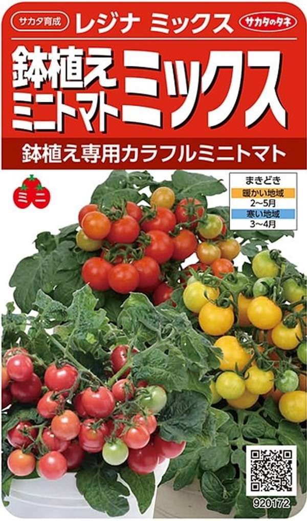 鉢植えミニトマト レジナミックス