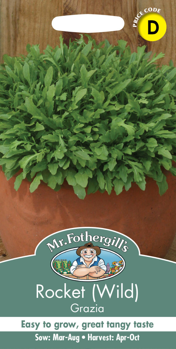 ロケット（ルッコラ） ワイルド・グラジア