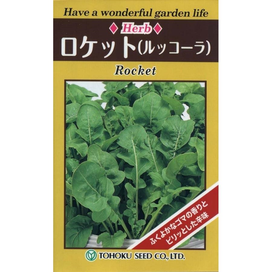 ロケットルッコラトーホク