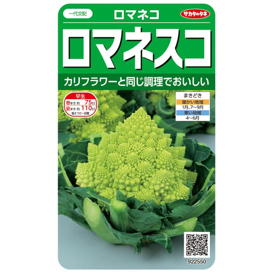ロマネスコロマネコ