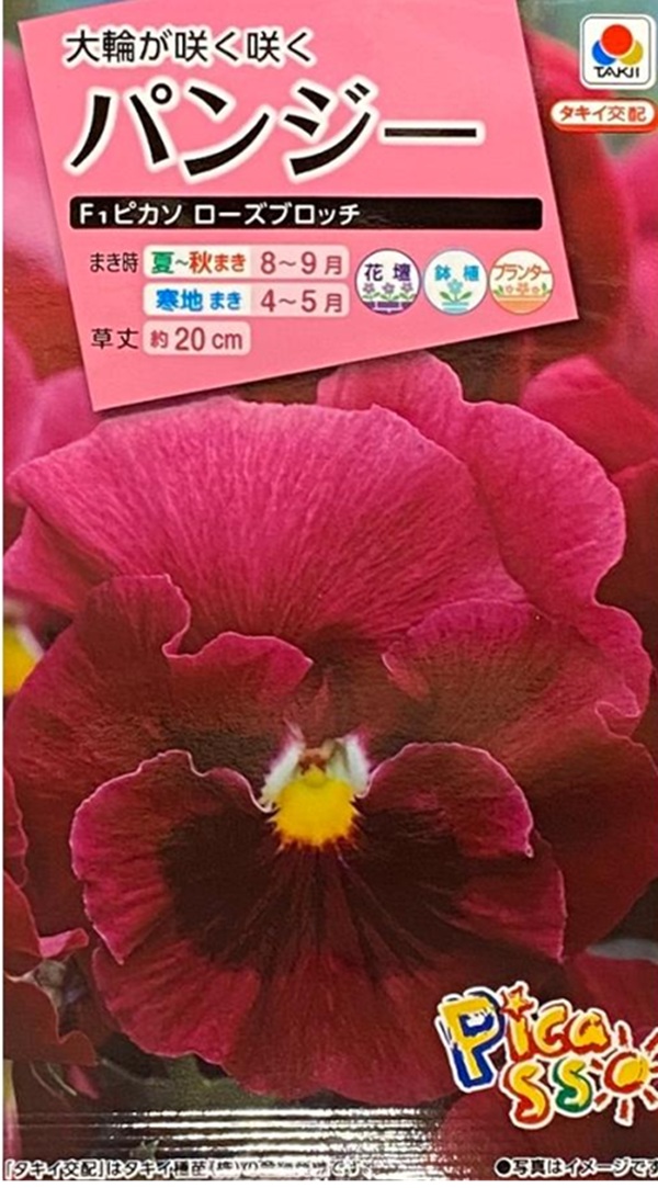 パンジー ピカソ ローズブロッチ