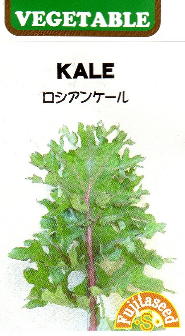 ロシアンケール