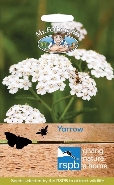 yarrow-rsp