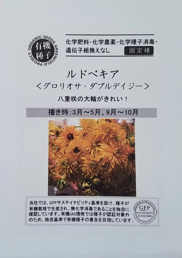 ルドベキアグロリオサダブルデイジー