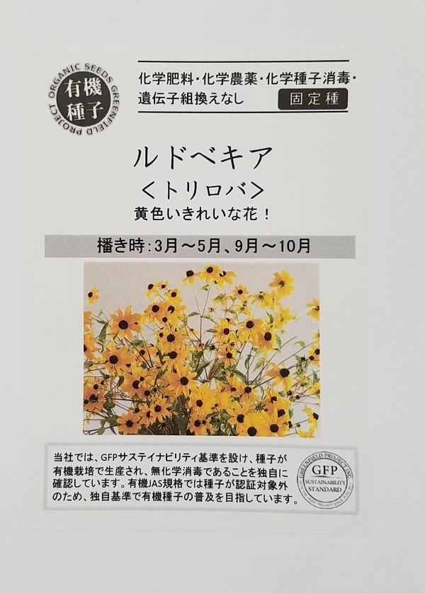 ルドベキア　トリロバ