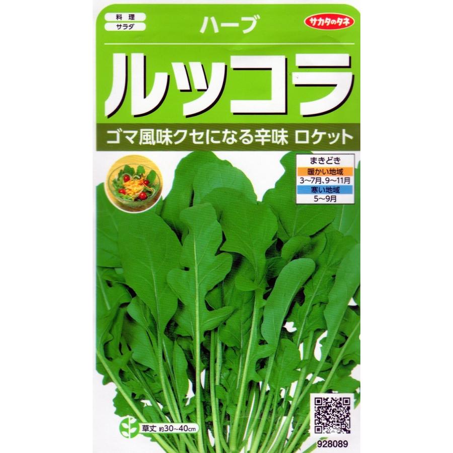 ルッコラサカタ