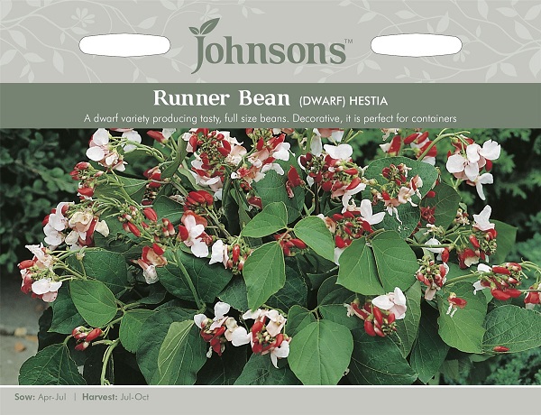 【輸入種子】 Johnsons Seeds Runner Bean (DWARF) HESTIA ランナー・ビーン・ヘスティア ジョンソンズシード