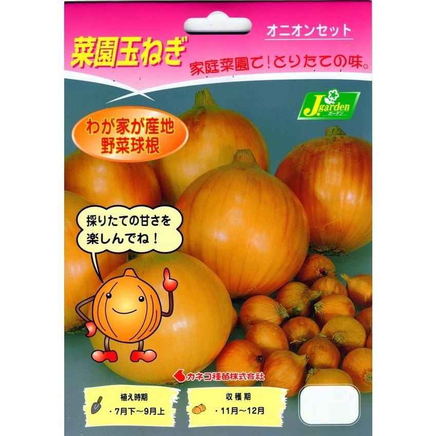 菜園玉ねぎ