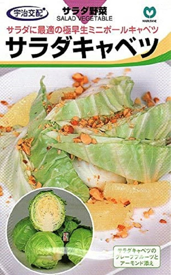 サラダキャベツ