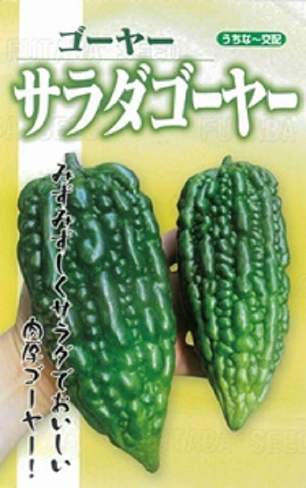 サラダゴーヤー