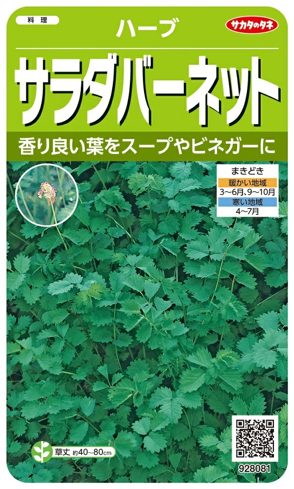 サラダバーネット